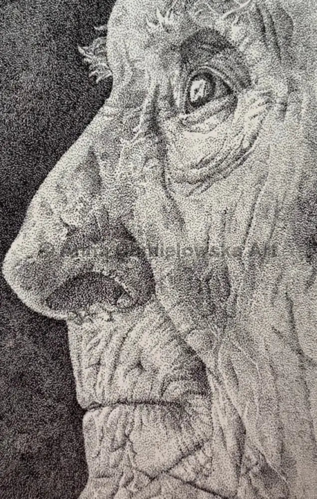 Father - portrait in stippling