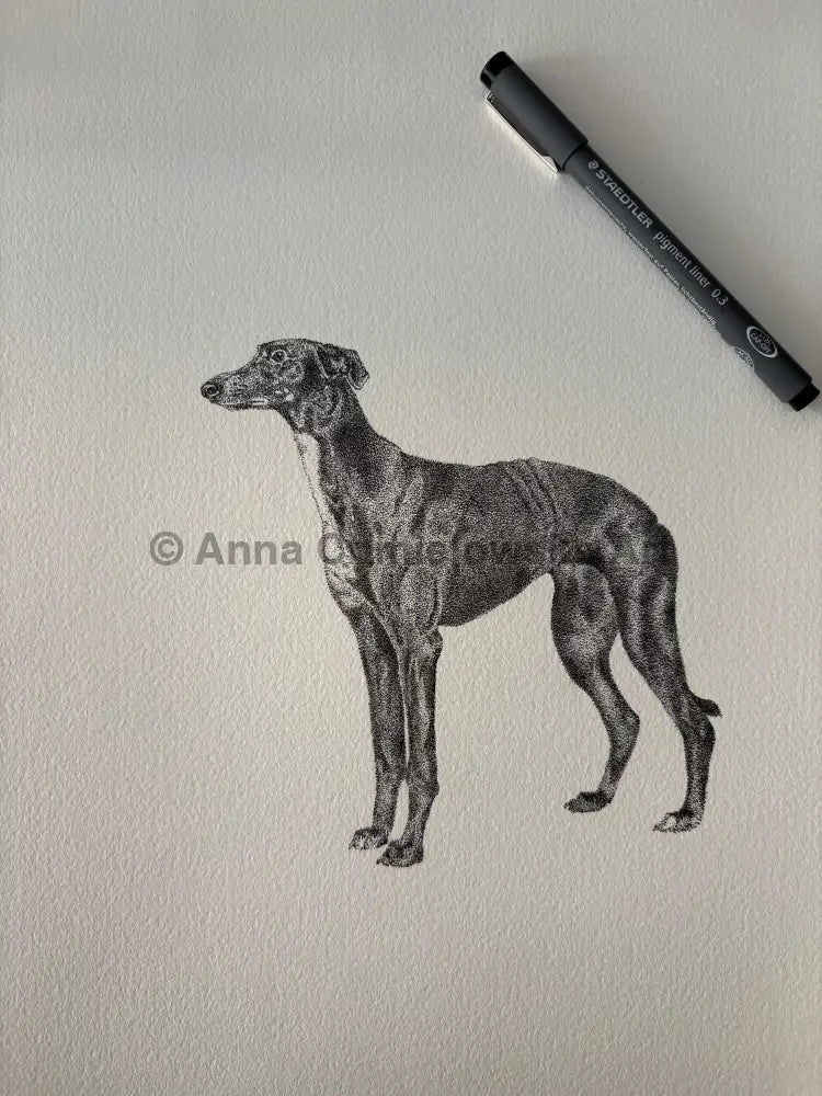 Velvet - greyhund stippling original artwork