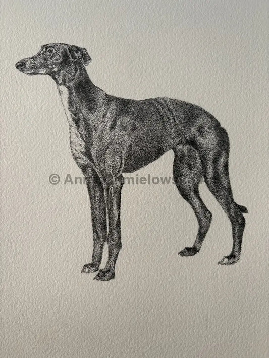 Velvet - greyhund stippling original artwork