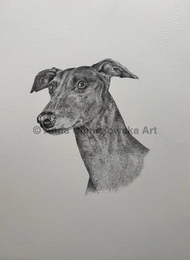 Greyhound portrait #2 - original dotted artwork