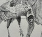 Gun dog on duty - stippling original artwork