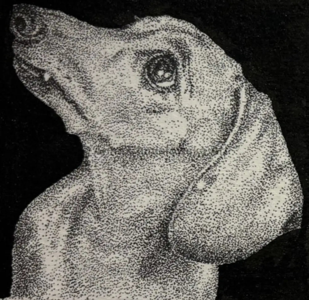 Hope they will drop this sandwich - original artwork