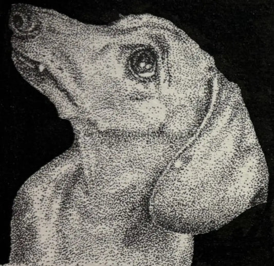 Hope they will drop this sandwich - original artwork