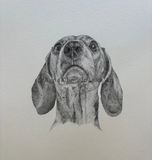 Old fella - dotted (stippled) dachshund original artwork