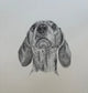 Old fella - dotted (stippled) dachshund original artwork