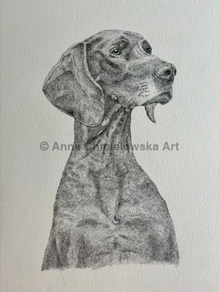 Pointer - original stippled (dotted) artwork
