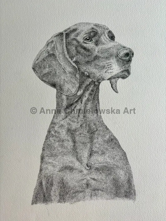 Pointer - original stippled (dotted) artwork