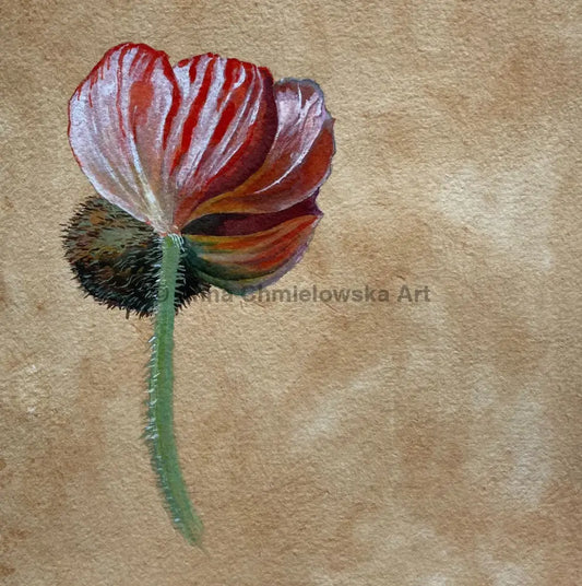 Poppy - original watercolour on a handmade tea-stained paper