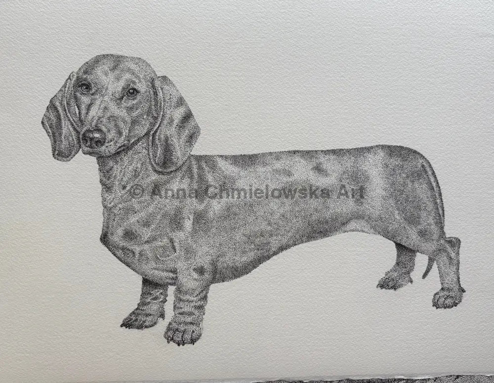 Royal dachshund - original stippling artwork