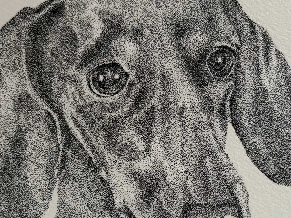 Royal dachshund portrait - limited edition print of a stippled (dotted)artwork