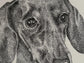 Royal dachshund portrait - limited edition print of a stippled (dotted)artwork