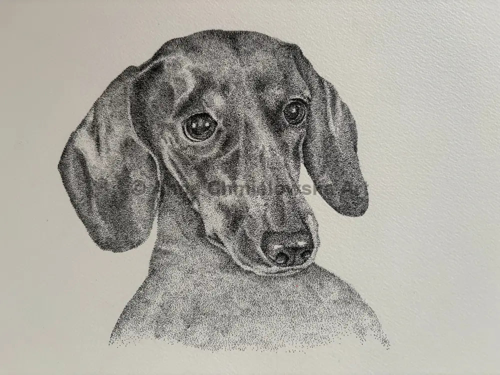 Royal dachshund portrait - limited edition print of a stippled (dotted)artwork