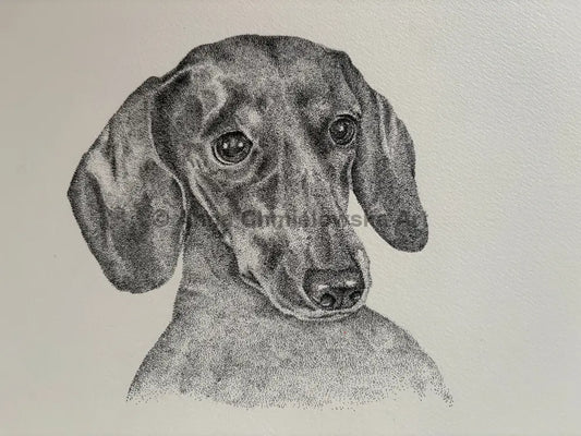Royal dachshund portrait - original stippled (dotted) artwork