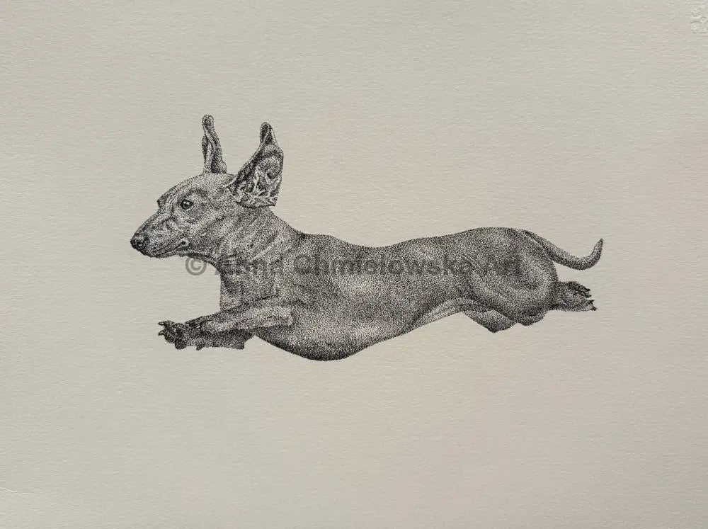 Superwoman - running dachshund stippling original artwork