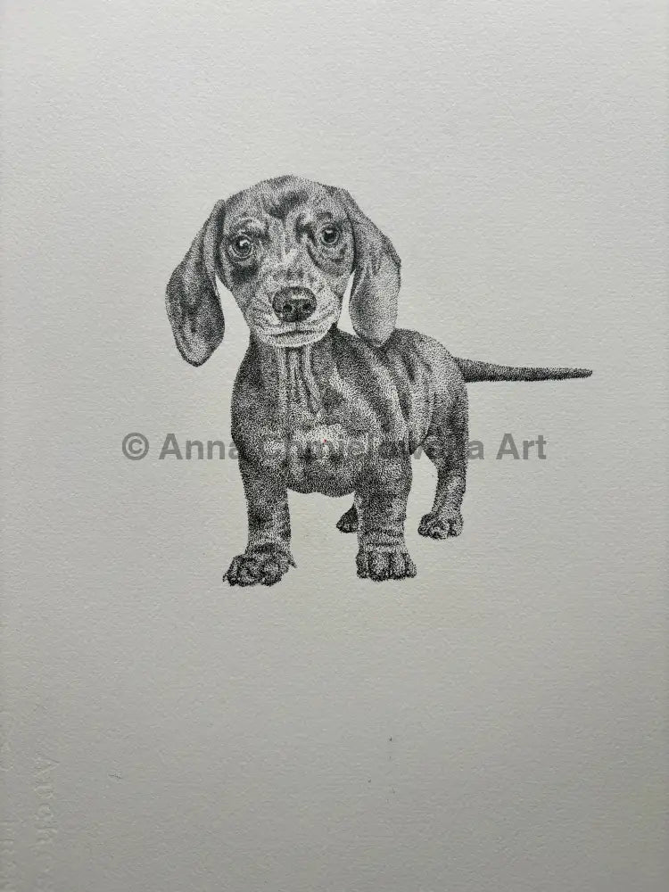 Sweetness - dachshund original dotted artwork